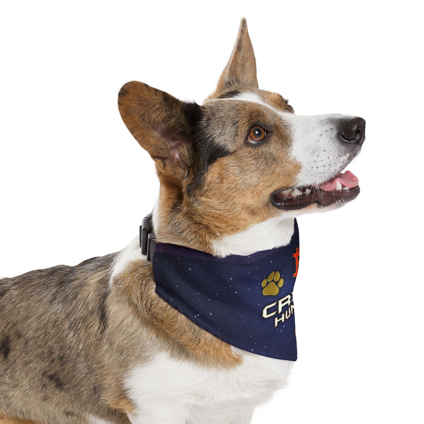 Crypto Hunter Pet Bandana Collar - Stylish Accessory for Dog Lovers & Crypto Enthusiasts