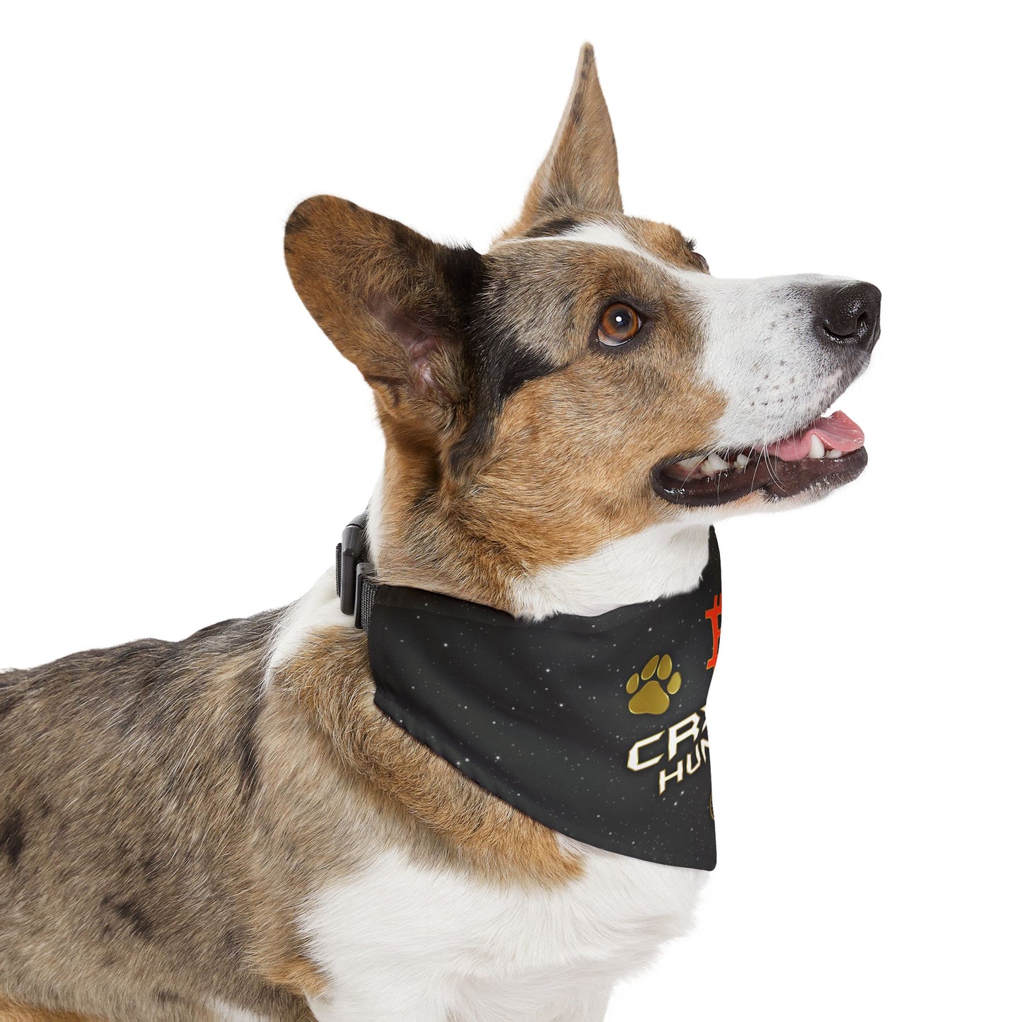 Crypto Hunter Pet Bandana Collar - Stylish Accessory for Dog Lovers & Crypto Enthusiasts
